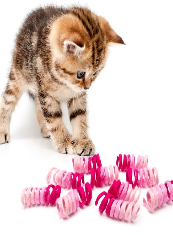 Glaciart One Felt Mini Spring Cat Toy – 10 Pcs Soft Fuzzy Enrichment 100% Natural Wool - Interactive Stretchable Play Cat Toy Set - Safe for Pets, Non-AZO Colored Dyes - 11” Long - Image 3